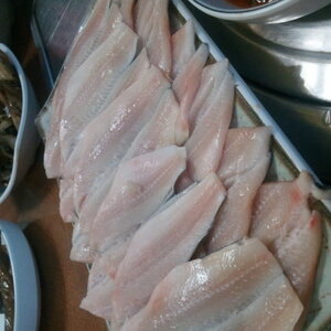 크기변환_2011-06-05 19.10.23.jpg