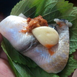 크기변환_2011-06-05 19.16.45.jpg