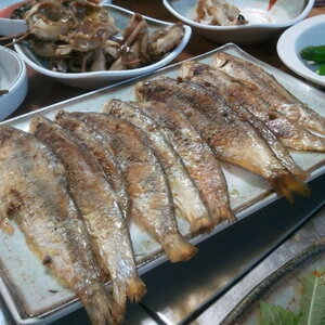 크기변환_2011-06-05 19.23.35.jpg