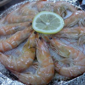 2011-06-18_18-43-57_478.jpg