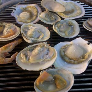 2011-06-23_00-59-14_547.jpg