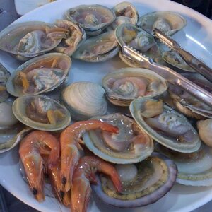 2011-06-23_00-33-13_2.jpg