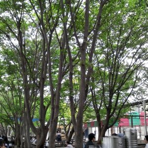 크기변환_2011-09-12 11.47.45.jpg