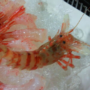 일괄편집_P100912009.jpg