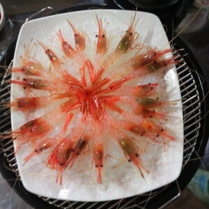 일괄편집_P100912003.jpg
