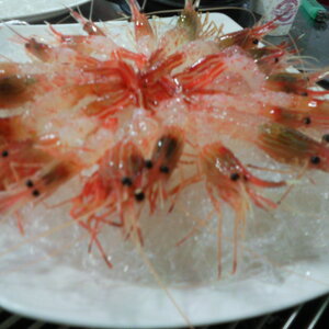 일괄편집_P100912007.jpg