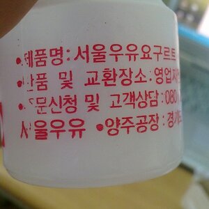 잉여킹의 브런치와 디너