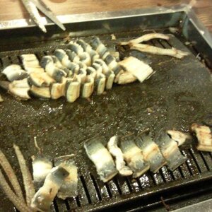 파주 장어구이~