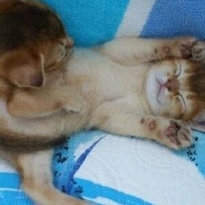 오느른 기분이 얄랑꼴리하네