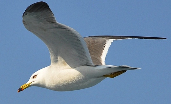 20120719_163208.jpg