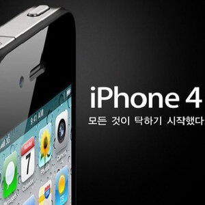 너네 주제에 무슨 굴비냐?