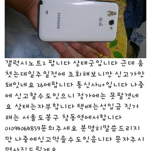 갤노트2 팜