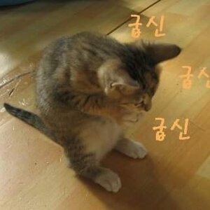 hbt든 그븅이 돈을받든 간에