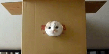 ㅋ_ㅋ