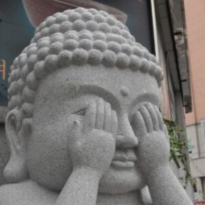 버스안 여기서 이러시면 됩니다