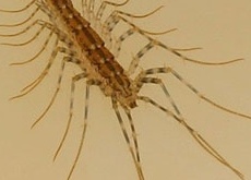 google_co_kr_20110701_000405.jpg