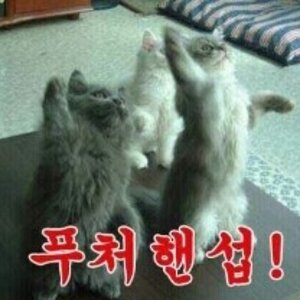 버스안 우리 모이자