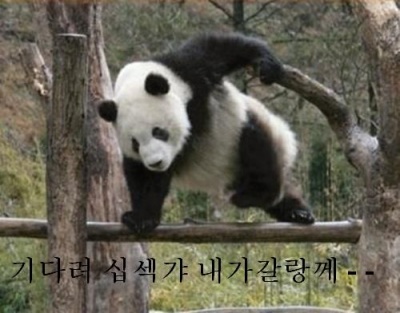 기다려라.jpg