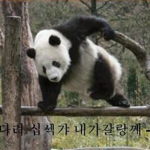 시발 슬슬 빻치네