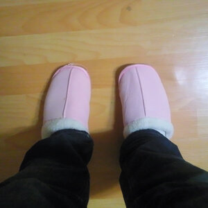 qP101110002.jpg