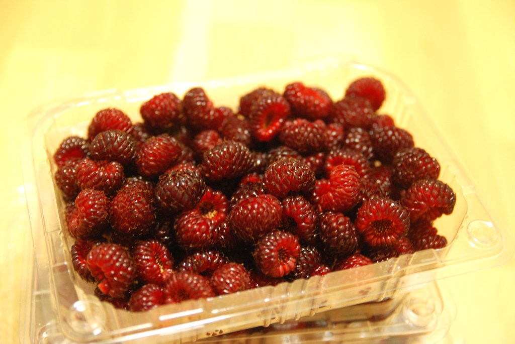사진 003.jpg