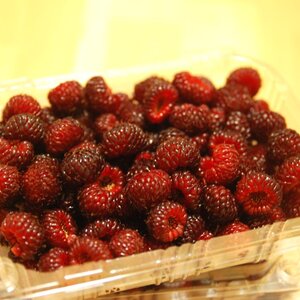 사진 003.jpg