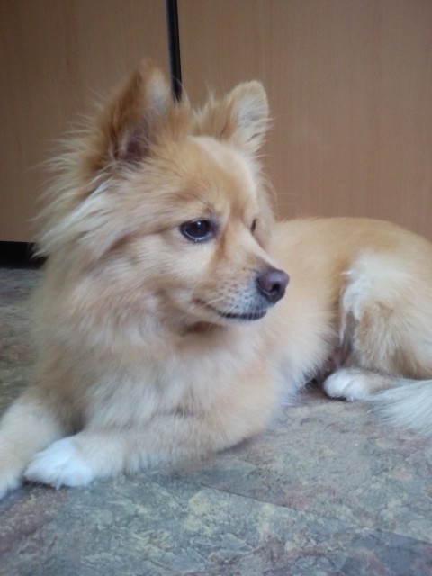 사진110627_006.jpg