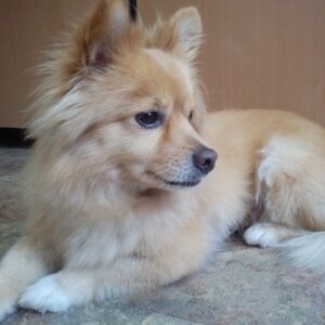 사진110627_006.jpg