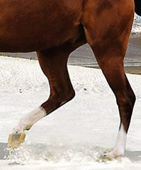 naver_com_20110630_171025.jpg