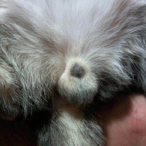 ch2.jpg