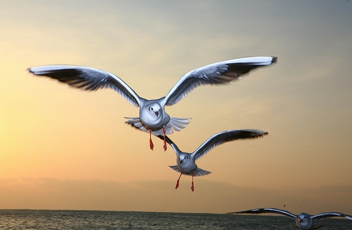 20120725_223800.jpg