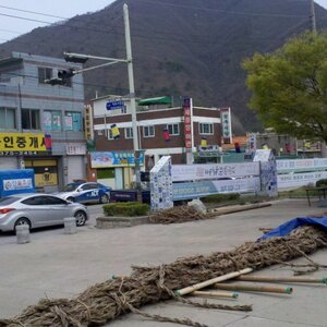 a2011-04-29_11-46-01_495.jpg