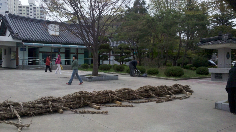 a2011-04-29_11-45-21_211.jpg