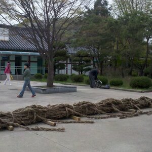 a2011-04-29_11-45-21_211.jpg