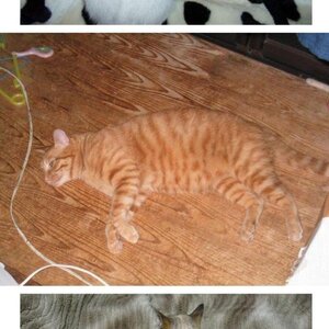 없는 척들 쩌네