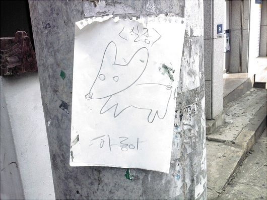 아롱이를찾습니다.jpg