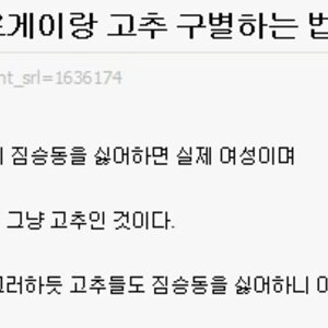 십덬에도 소포모어 징크스가 오는거냨?