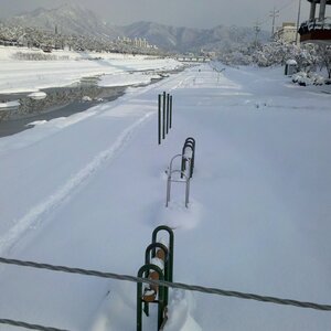 2010-12-31_15-08-05_342.jpg
