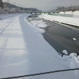 2010-12-31_15-08-13_811.jpg