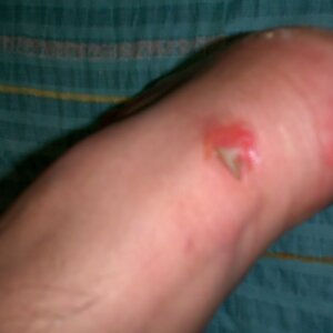 2010-09-17_20-28-56_478.jpg
