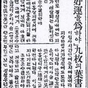 십새개들아 행운의편지좀 그만써라