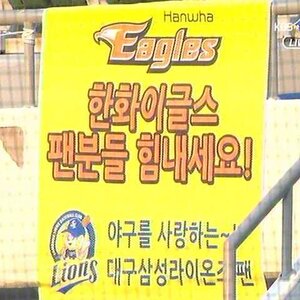오늘 보고 쳐웃은거
