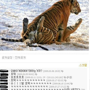으으 갑자기 호떡먹고싶음