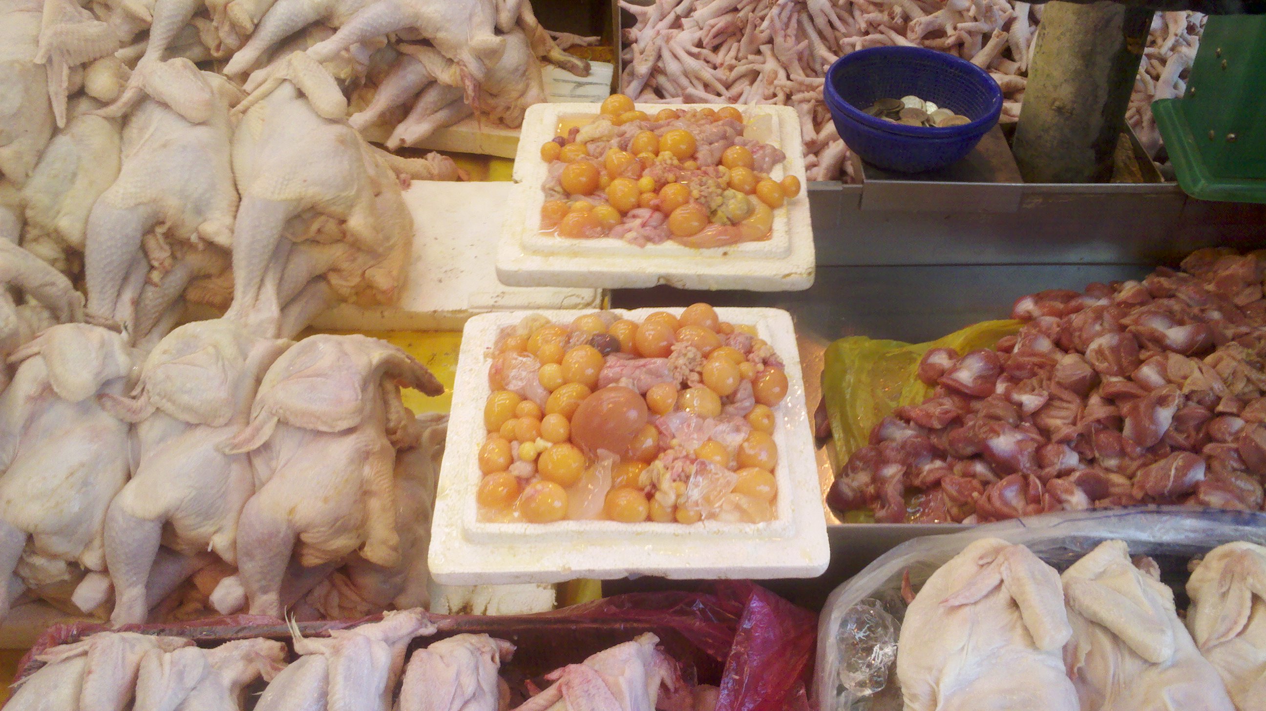 2011-05-15_17-05-02_367.jpg