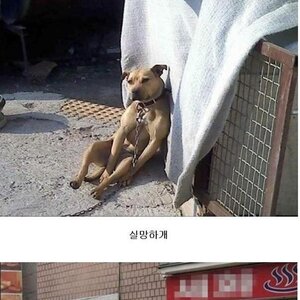 수요일입니다