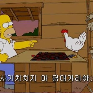 야이 싀발 이게 사실이냐?