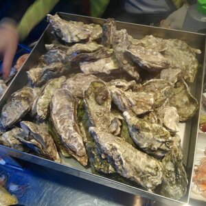 img20131113_172719.jpg