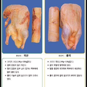 십덕은 커서.....