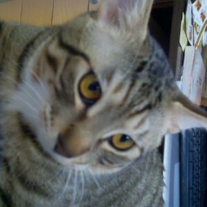 2011-01-09_10-24-43_745.jpg