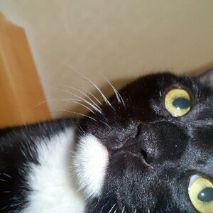 2011-01-10_06-09-23_835.jpg